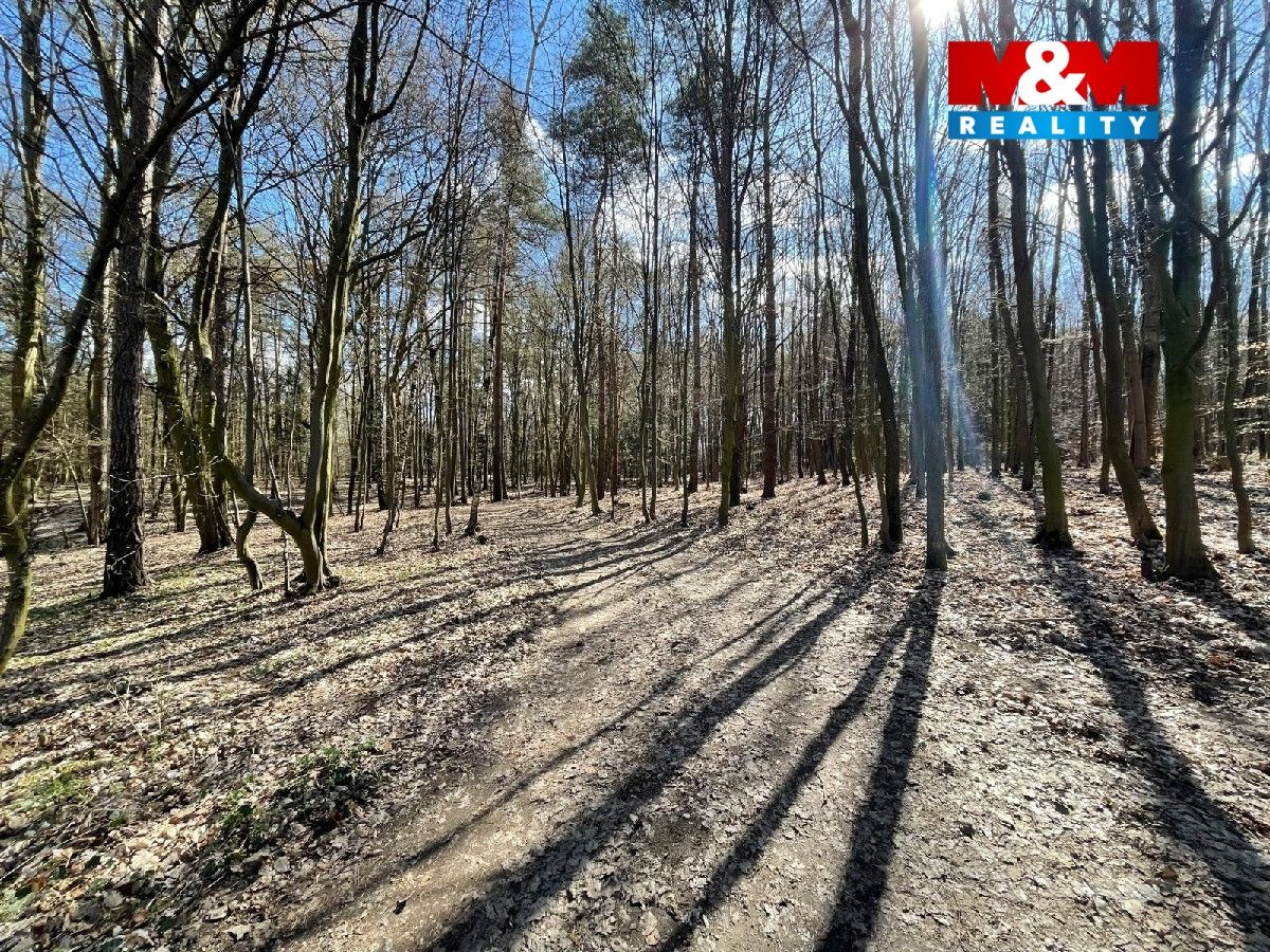ppřístupová cesta
