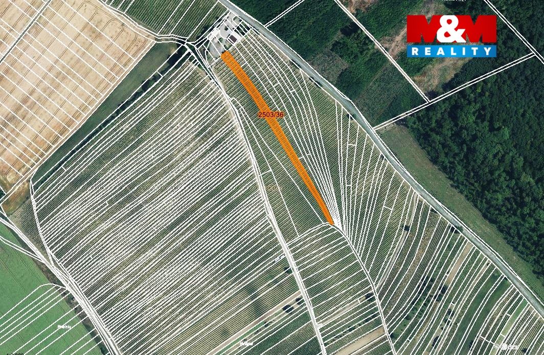 mapka