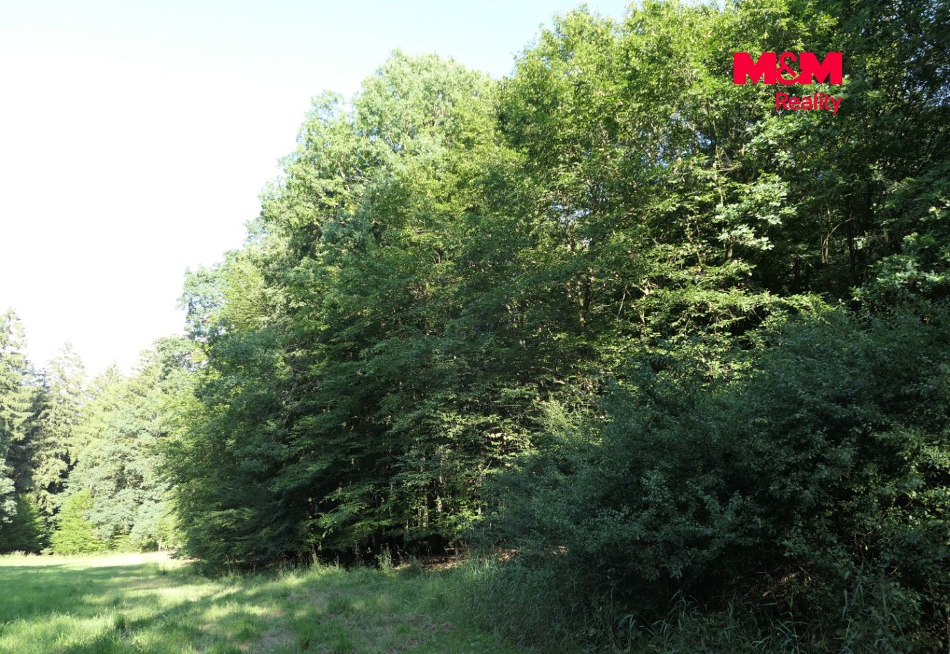 P1050248.jpg