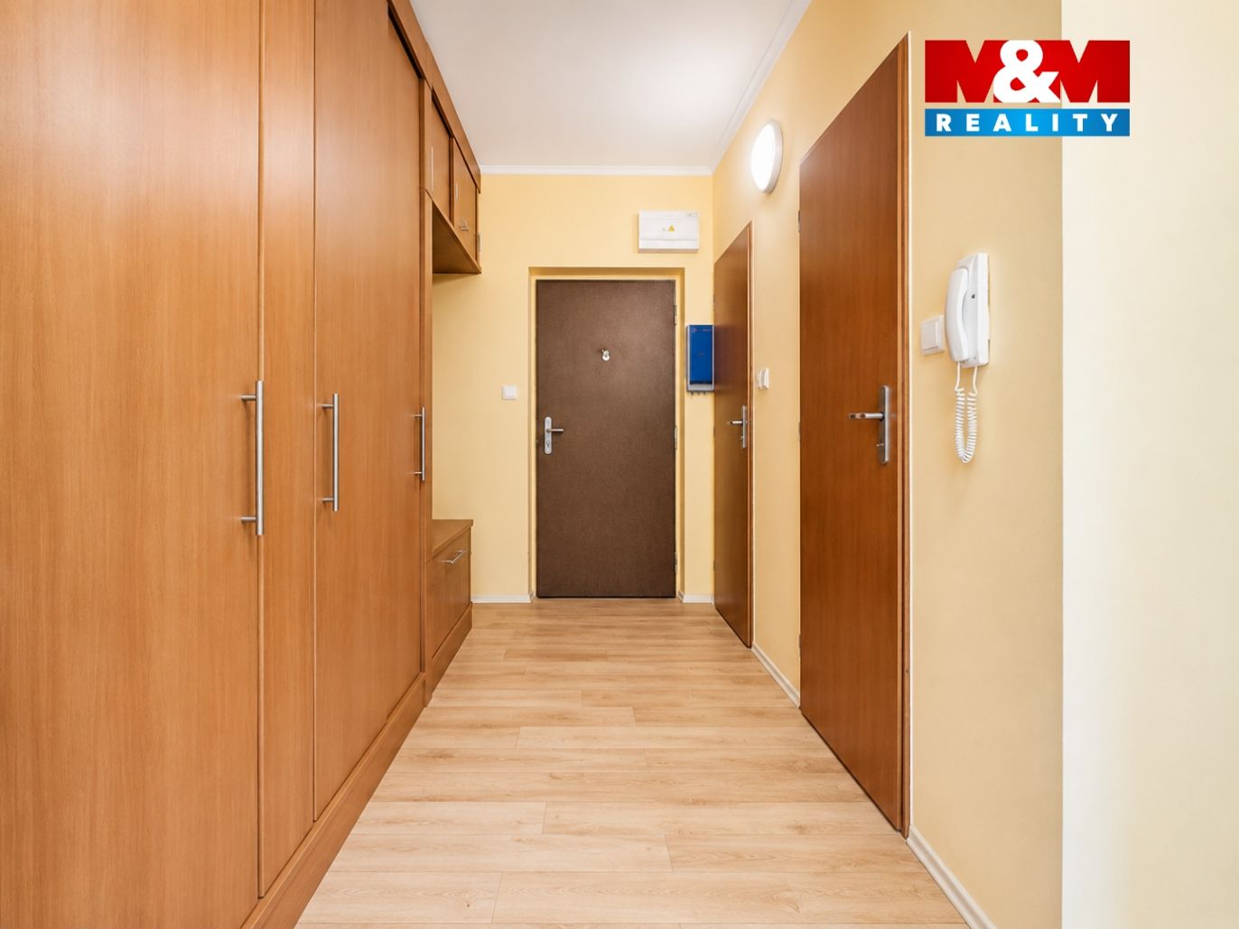 CD171CA8-5C4D-4123-A59C-3CCEA29BCD82.png