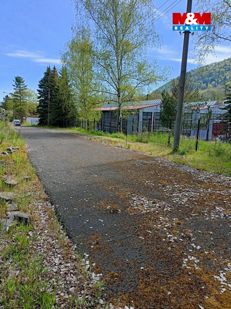 IMG20230505113811.jpg