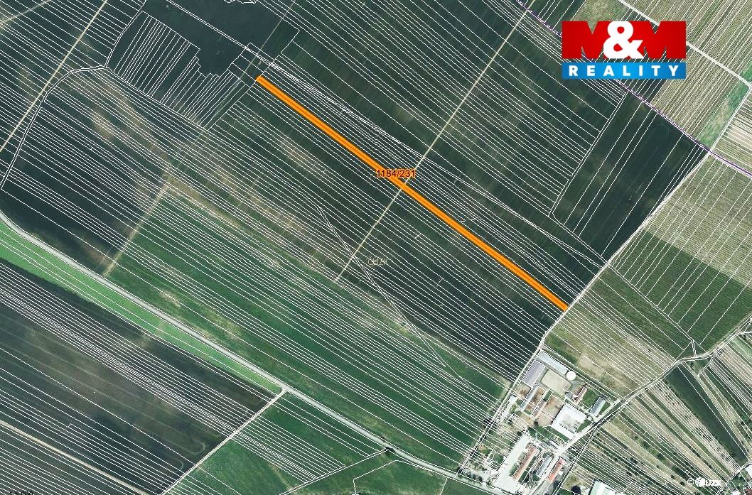 mapka