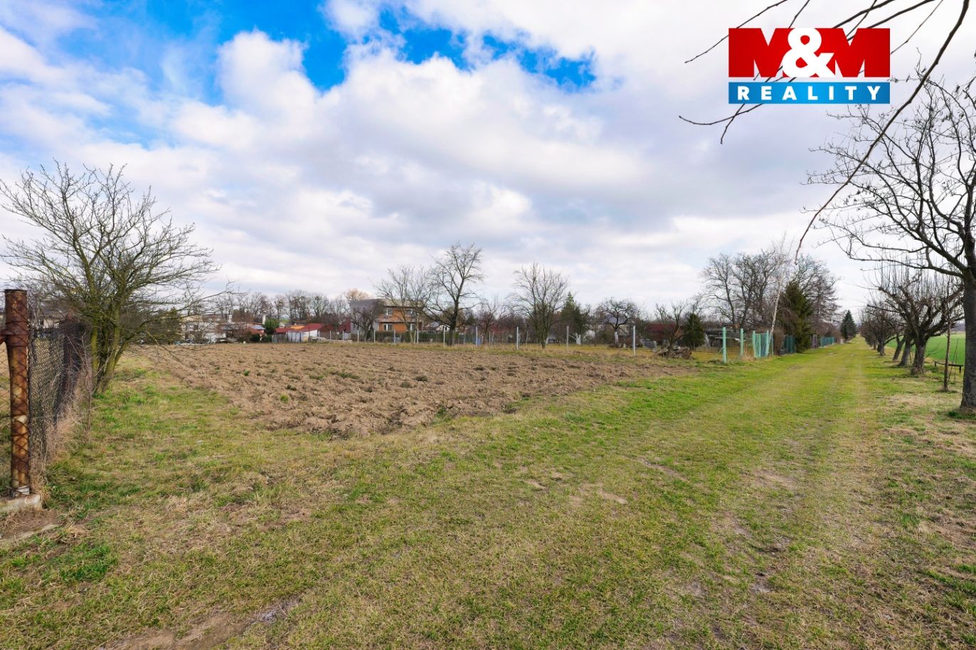 P1134714.jpeg