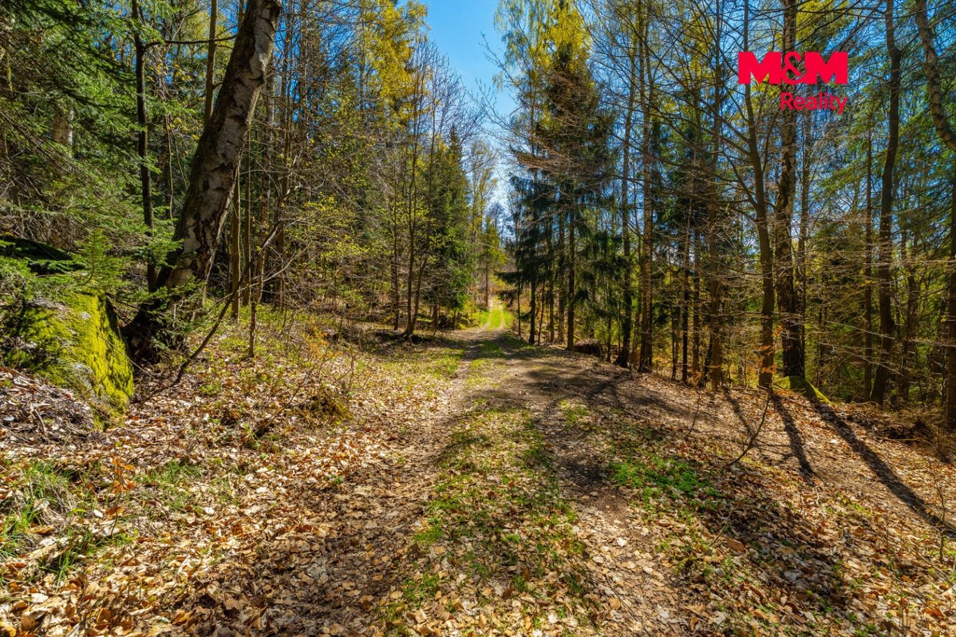 přijezdová cesta