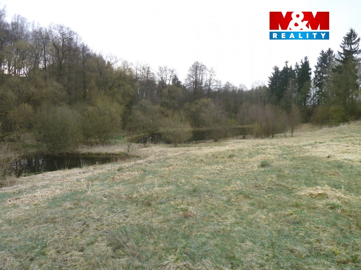 foto 1.jpg