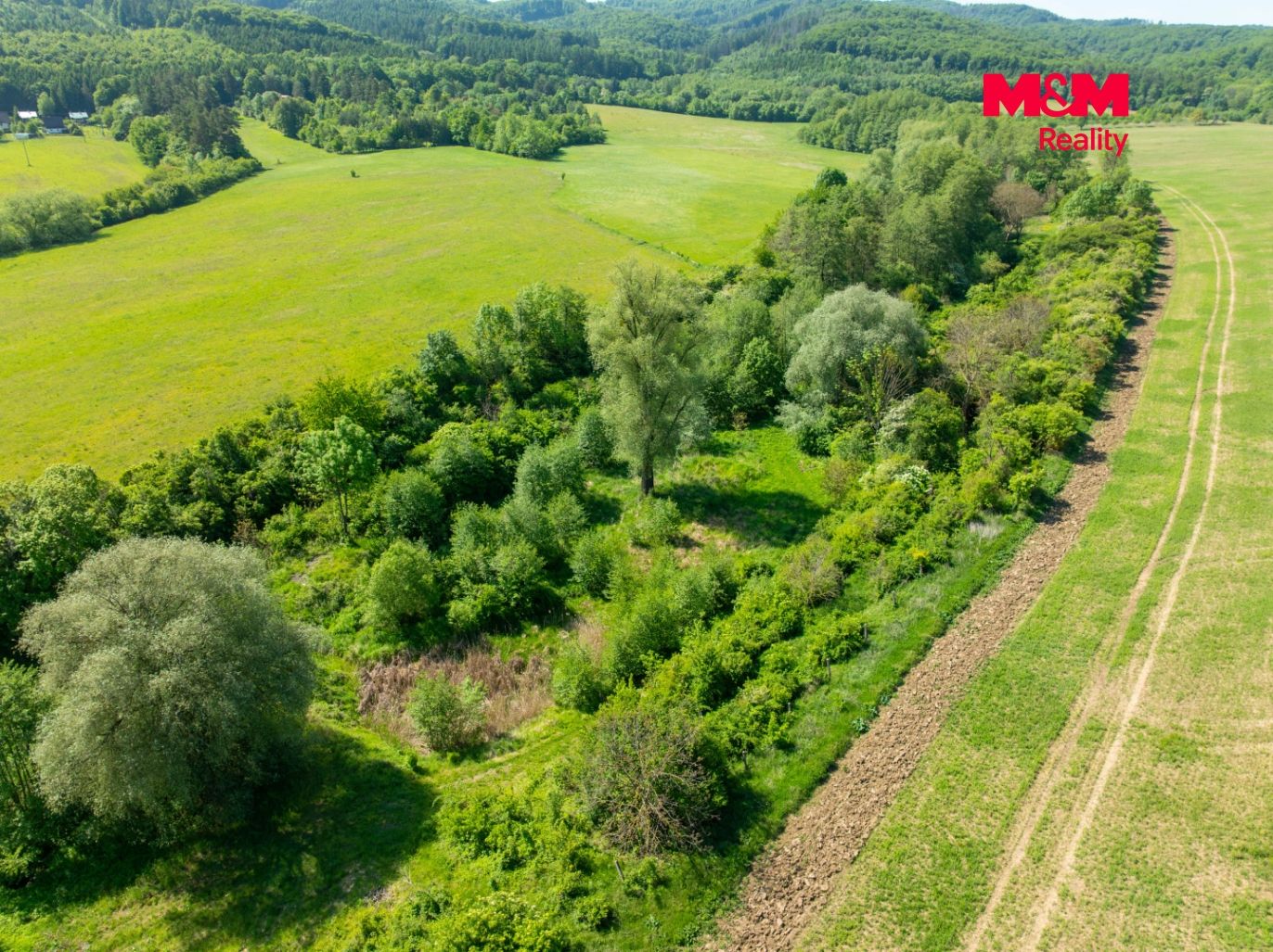 DJI_0949.jpg