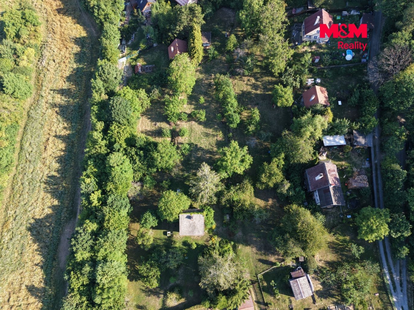 dji_fly_20260730_090428_0003_1785505716950_photo.jpg