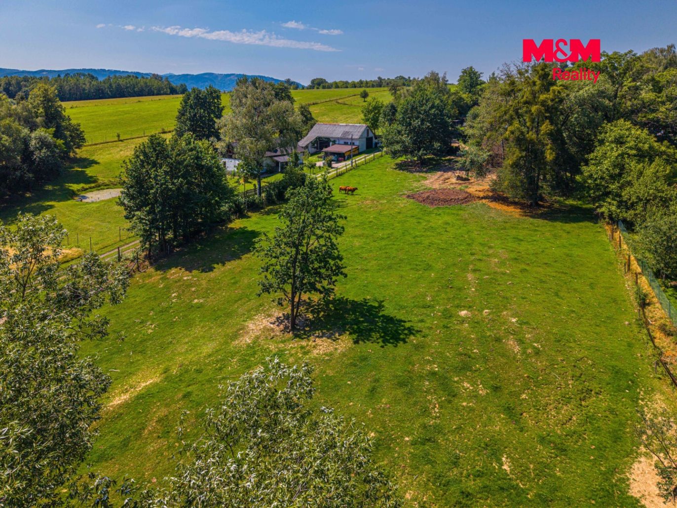 DJI_0604.jpg