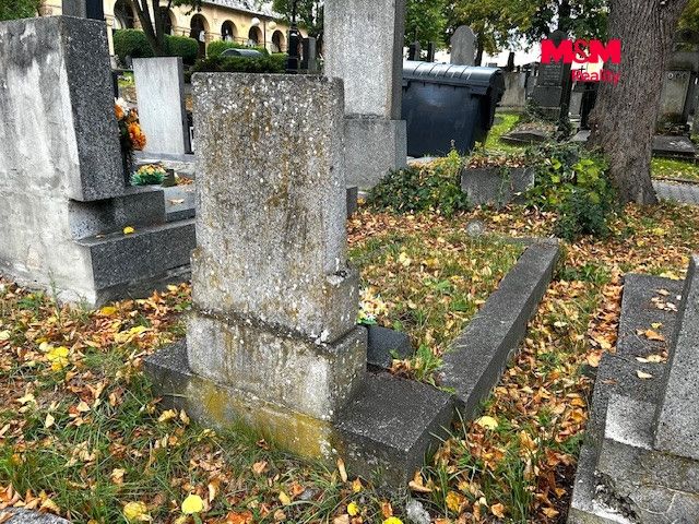foto 14.jpg