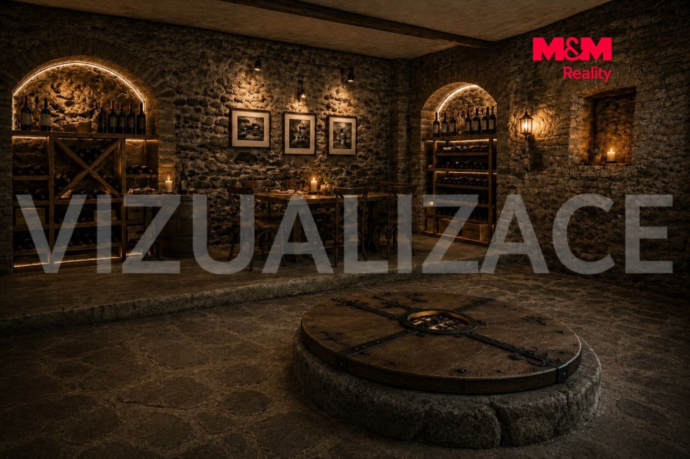 Vizualizace
