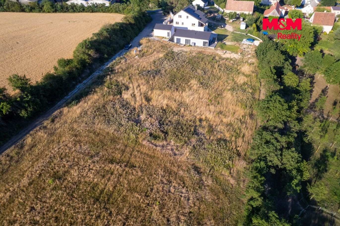 DJI_0239.jpg
