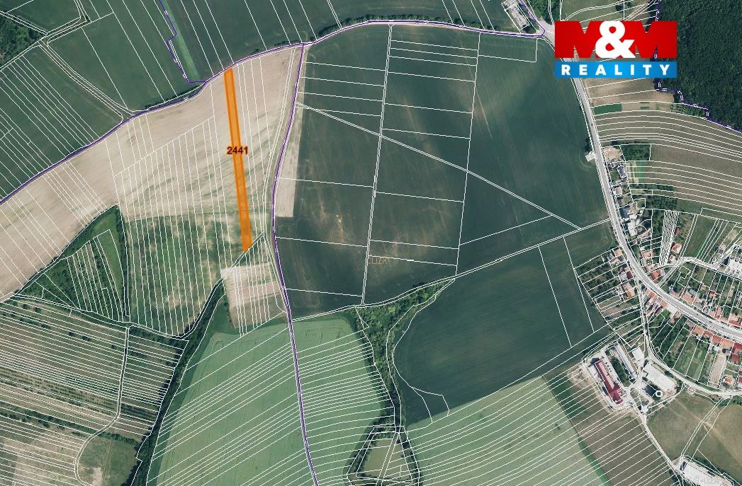 mapka