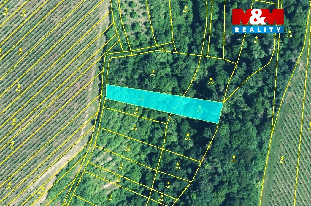 mapka