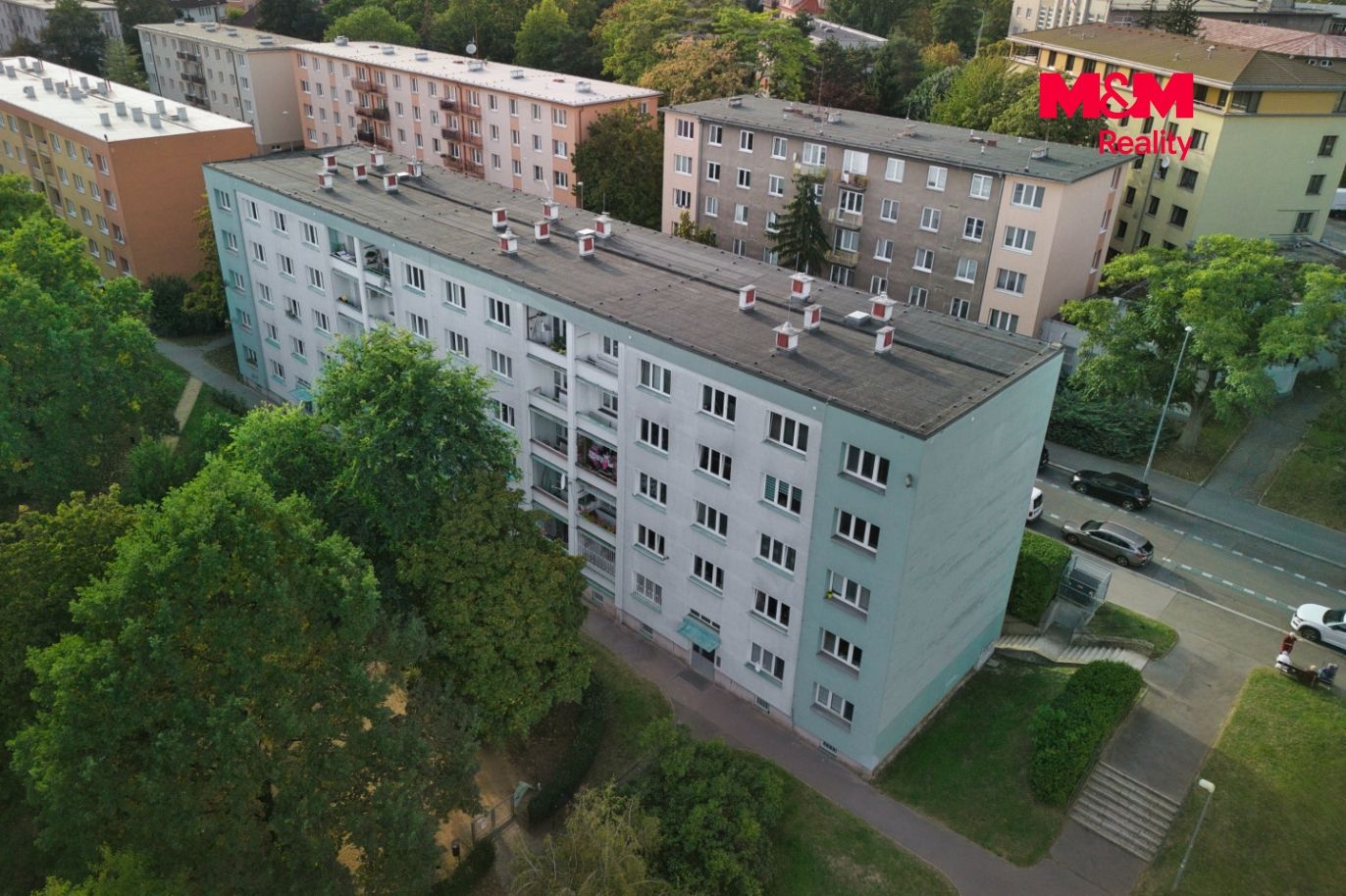 na vrcholu.jpg