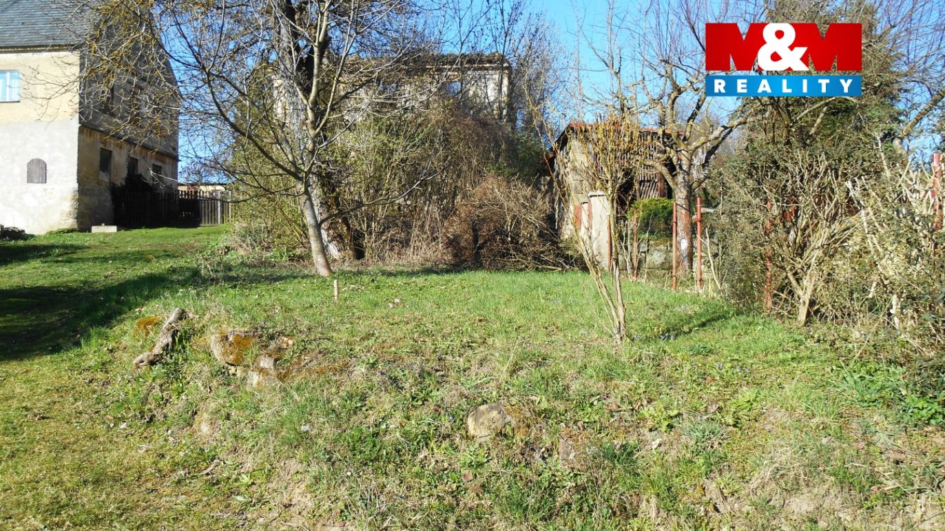 kalo2.jpg