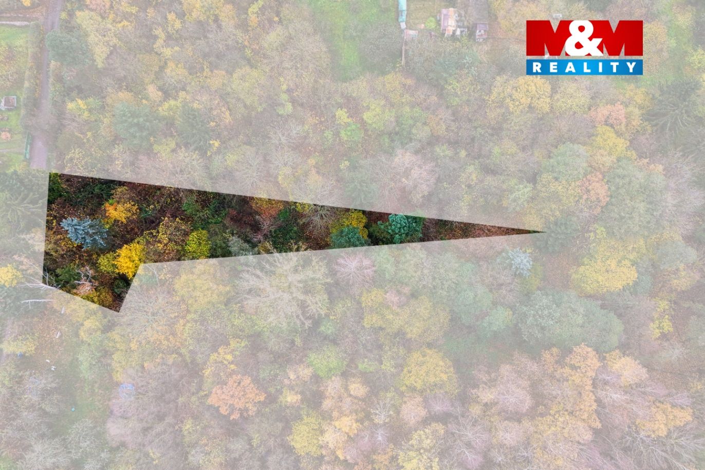 DJI_20241114095108_0875_D kopie.jpg