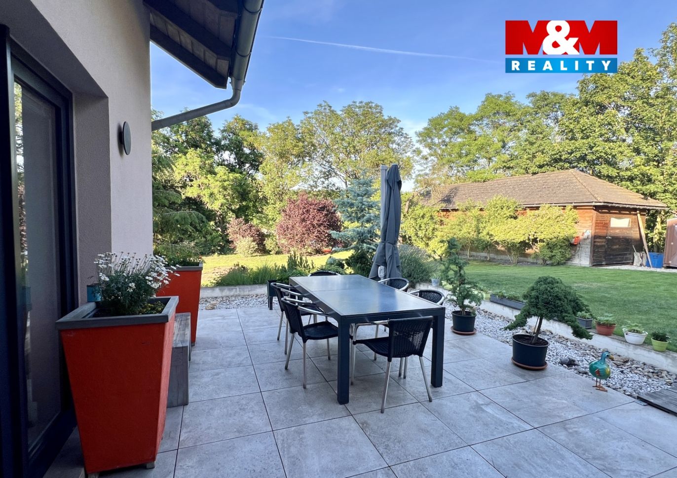 IMG_7656.jpg