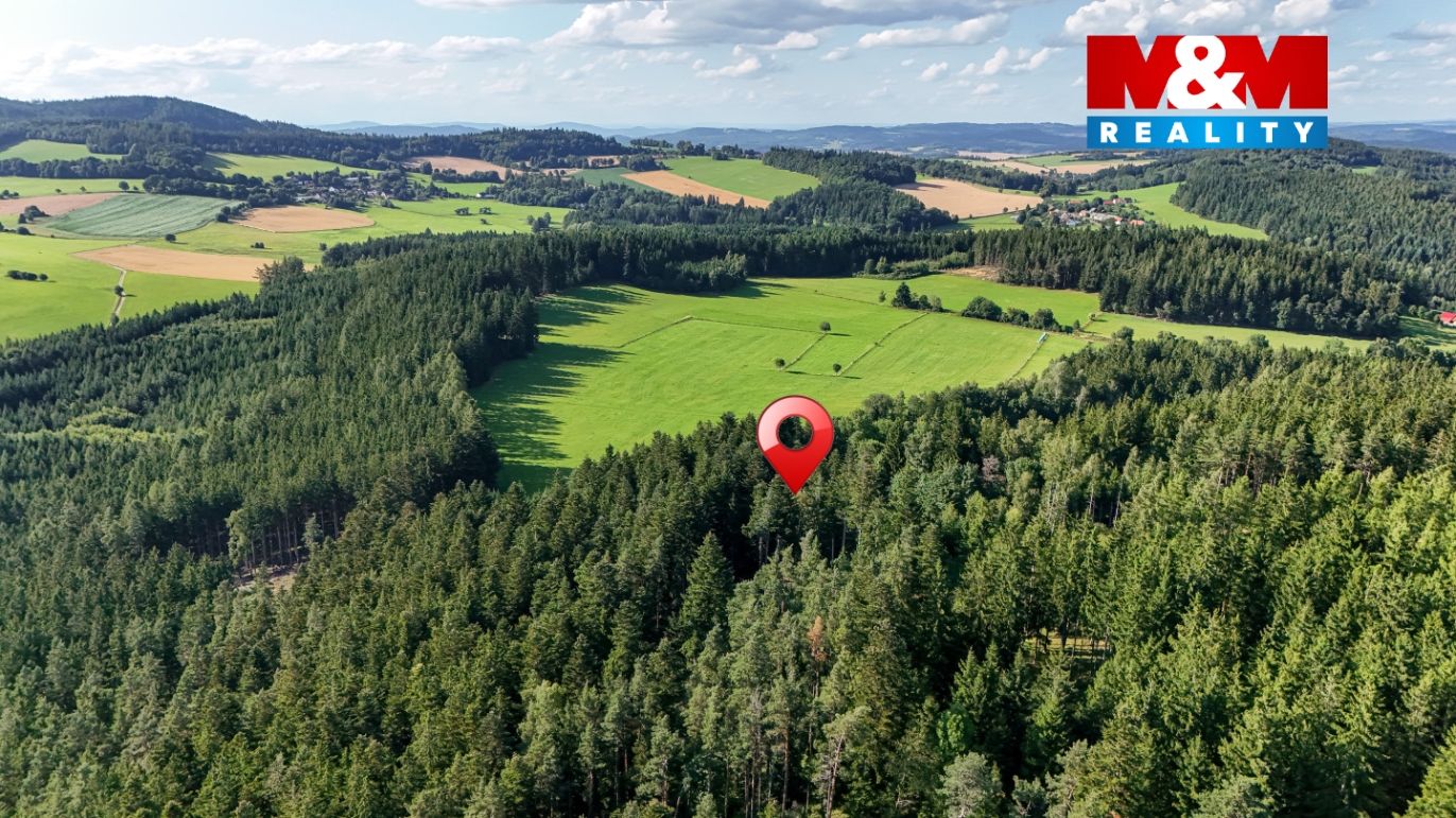 DJI_20250729174456_0182_D.jpg