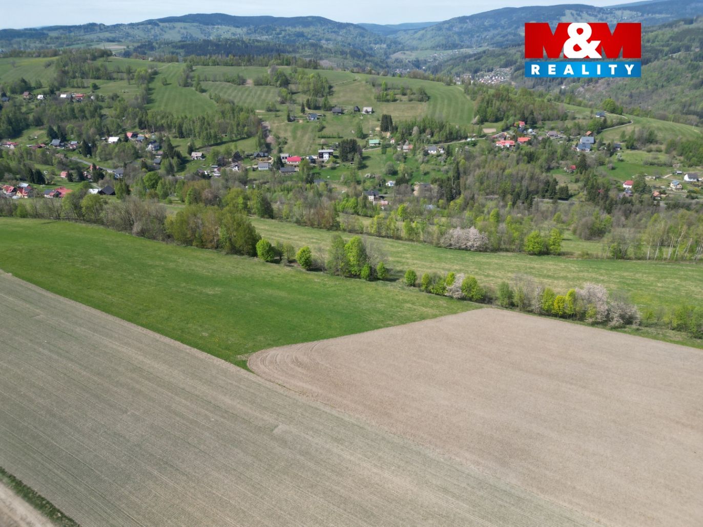 DJI_0169.jpg