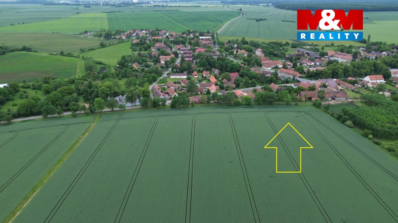 šipka 2.jpg