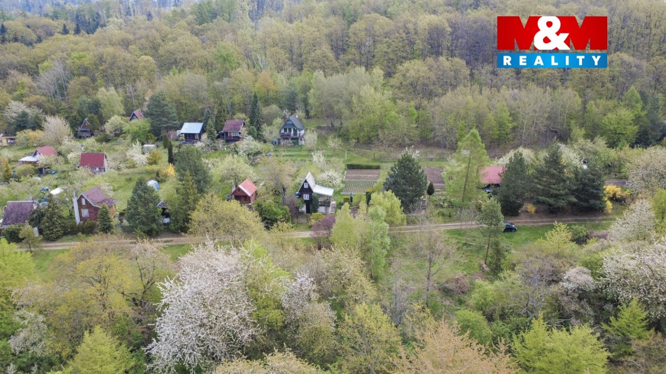 DJI_0453.jpg