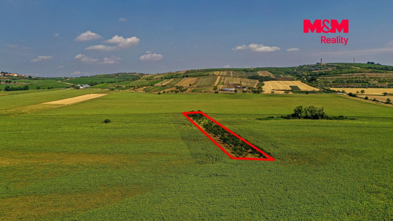 DJI_0942 kopie.jpg
