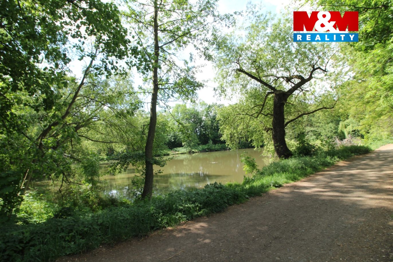 Rybník