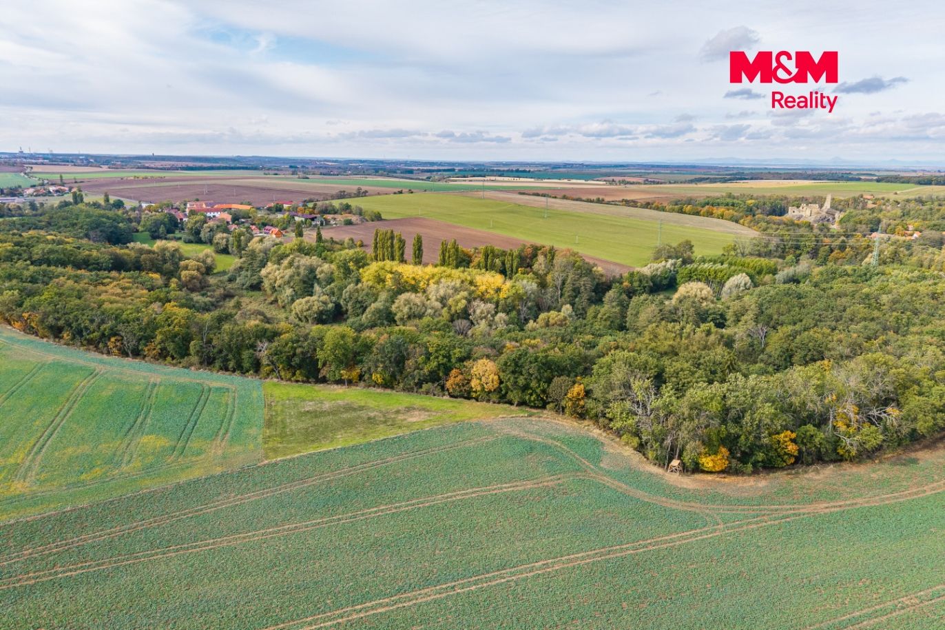 DJI_20260317075525_0008_D.jpg
