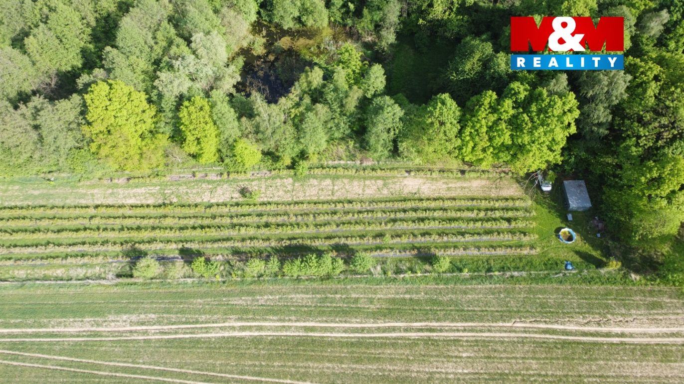 dji_fly_20260514_164238_239_1778769801480_photo_optimized.jpg