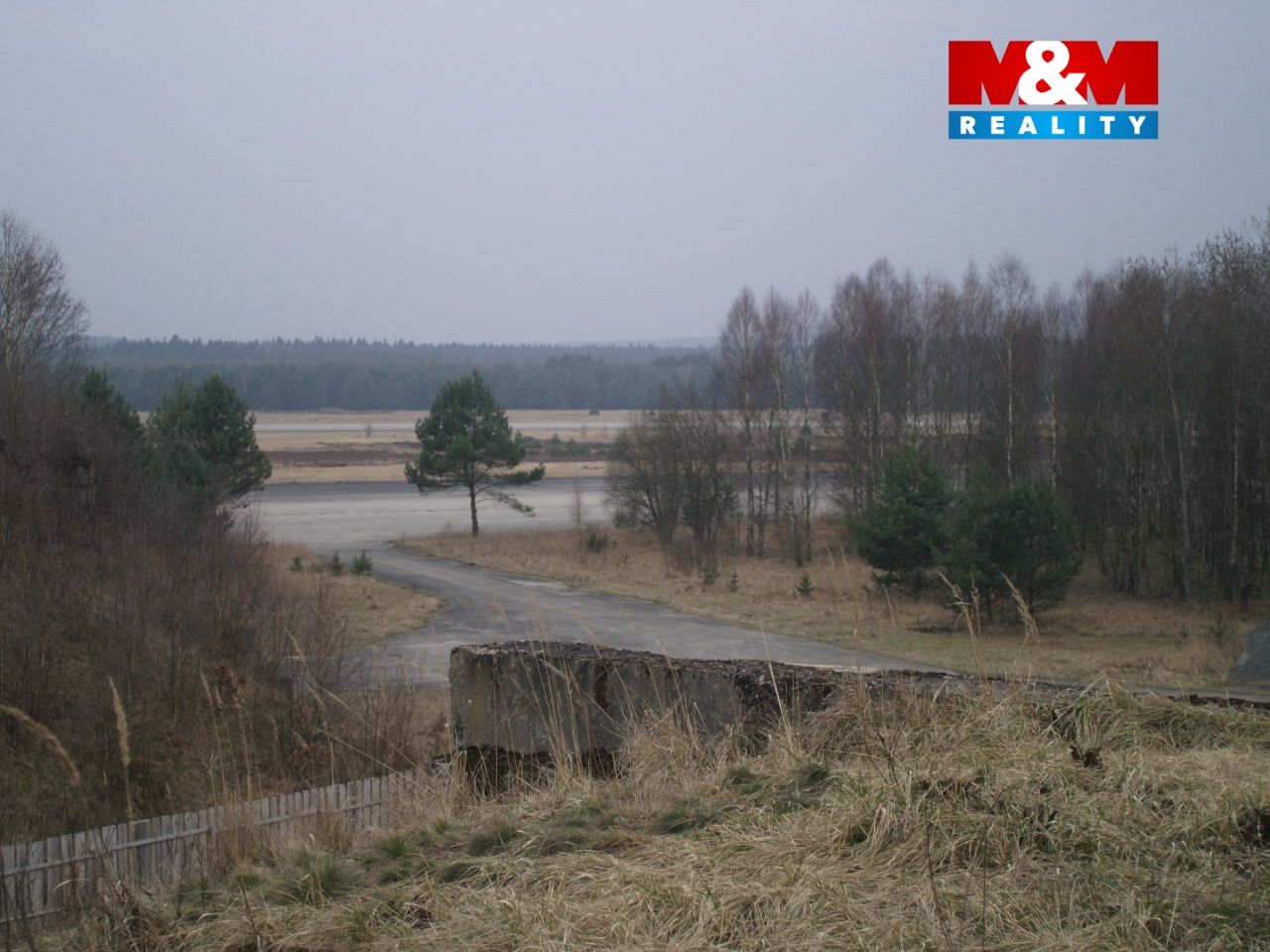 P1010176.jpg