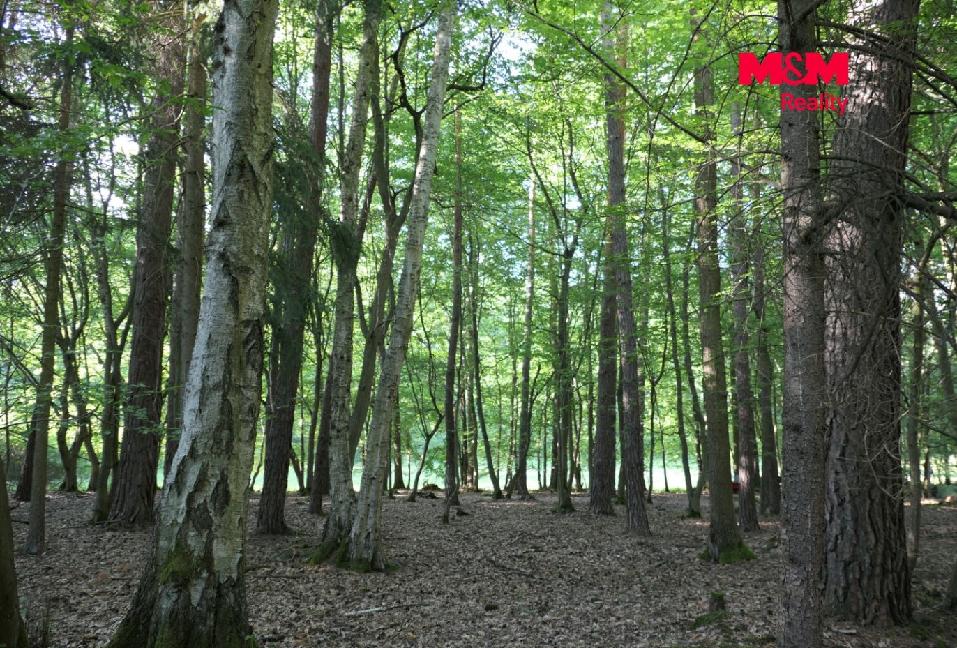 P1050241.jpg