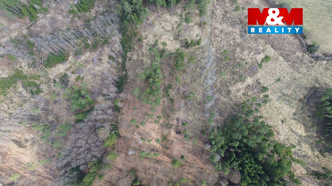 DJI_0423.jpg