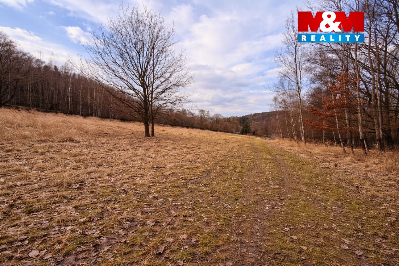 image_18A654B1-1562-40E2-8BC2-FFA2CEE1BB01_1771093203.png