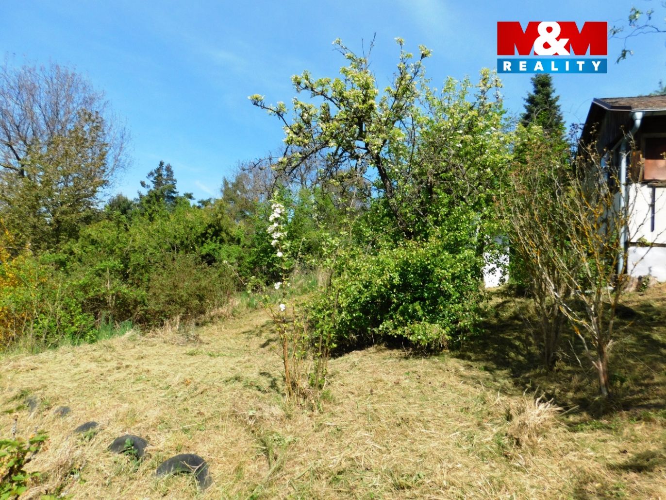 DSCN2704.jpg