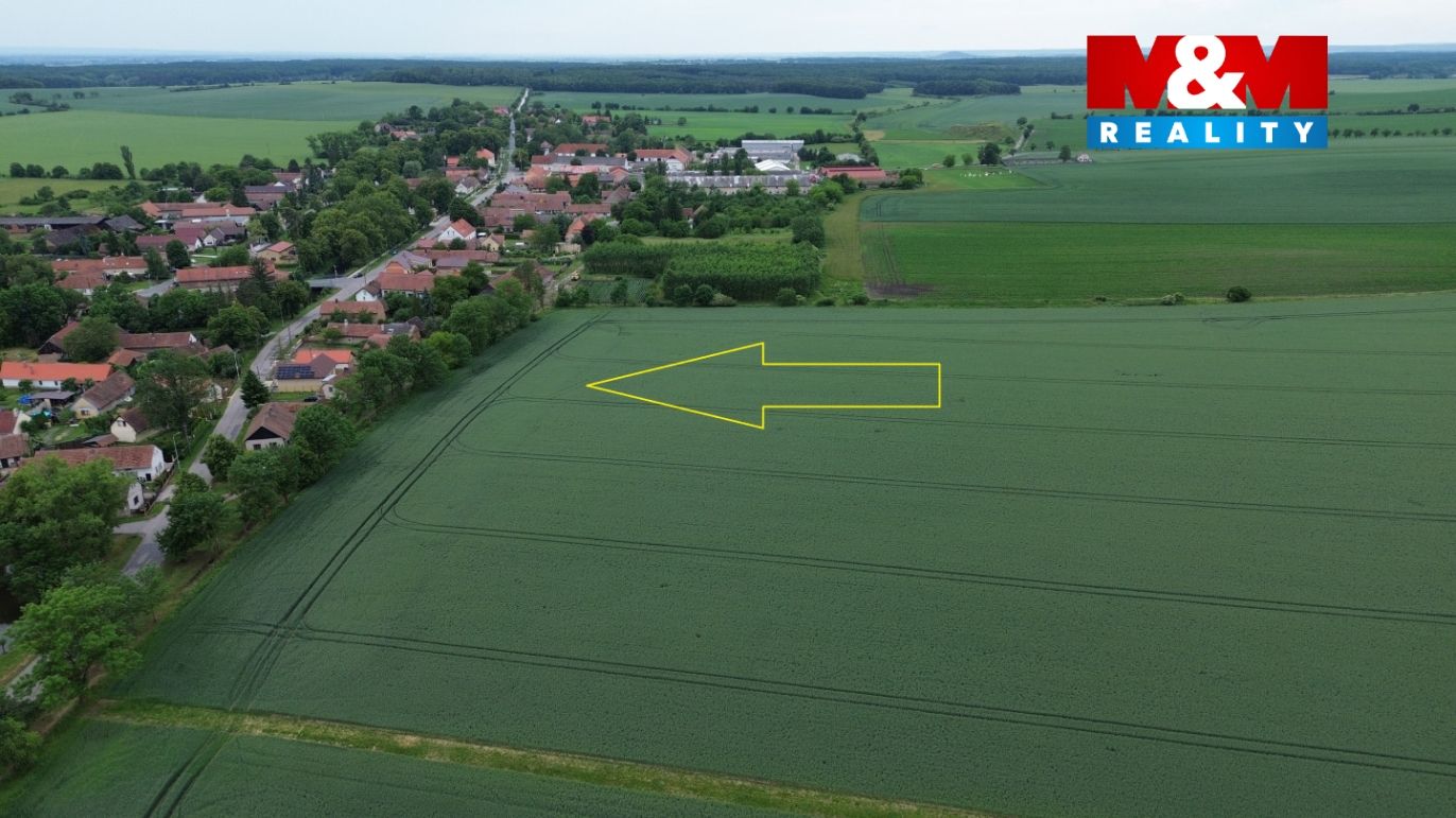 šipka.jpg