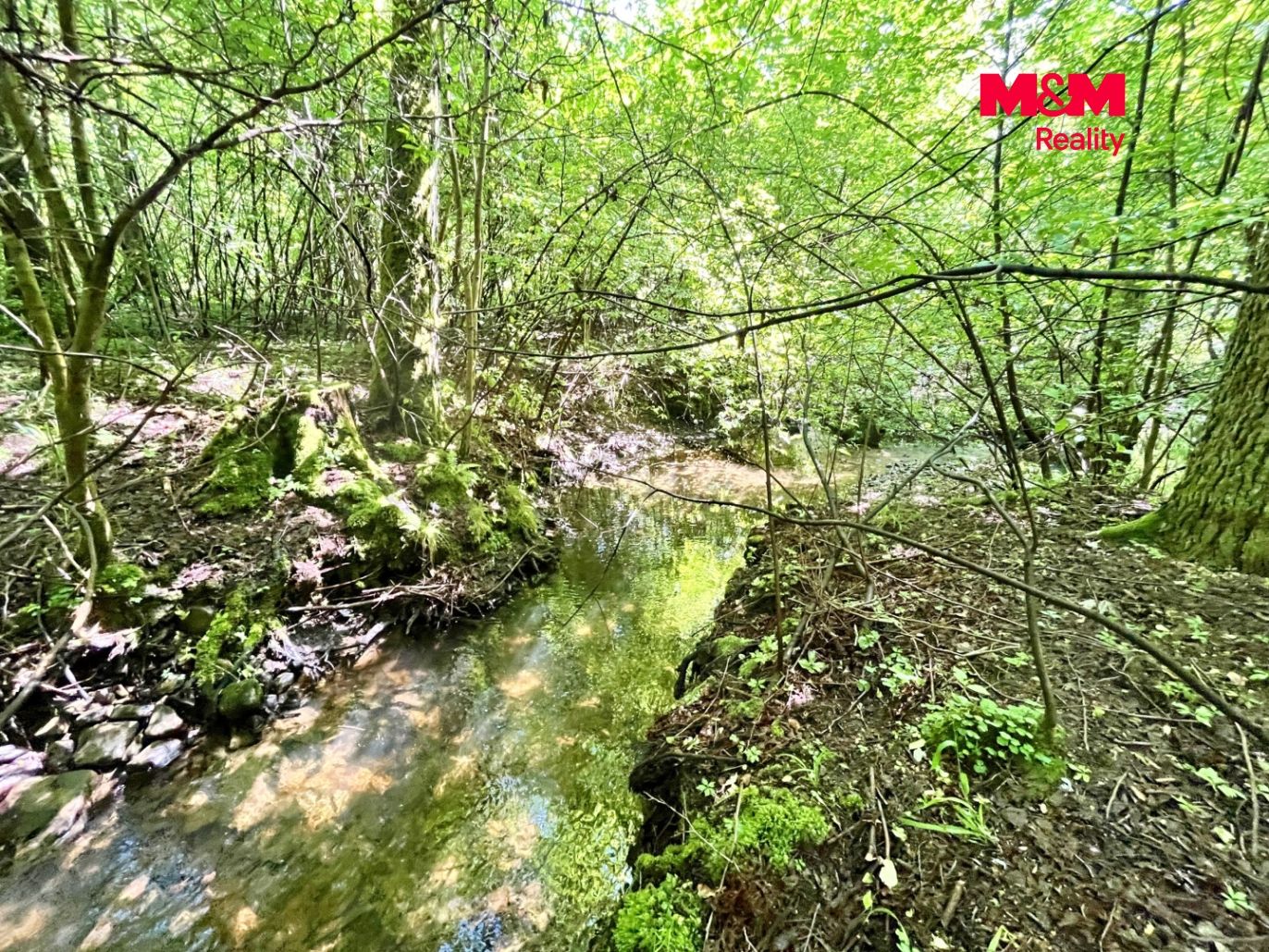 Skalický potok na hranici pozemku