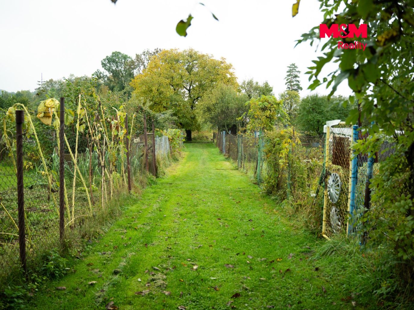 DSC09986.jpg
