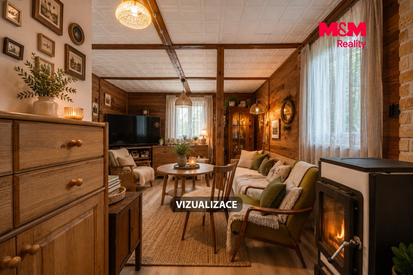Vizualizace