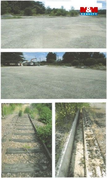 Foto.jpg