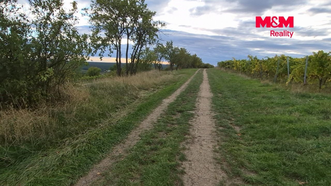 Příjezdová cesta pod vinicí