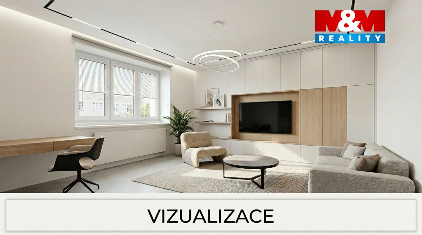 Vizualizace