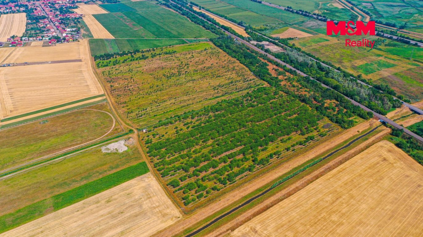 DJI_0917.jpg