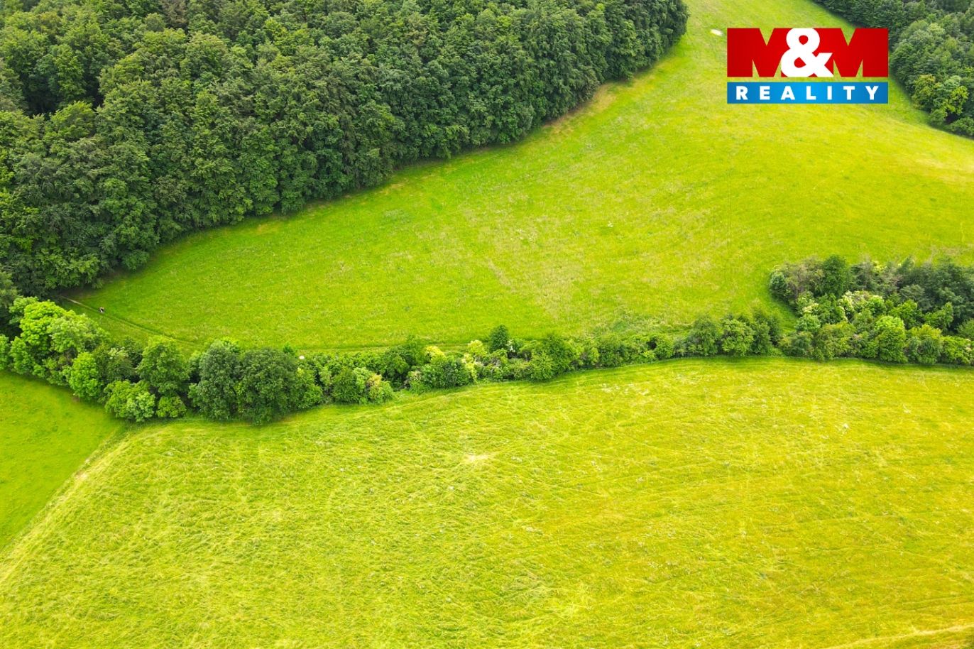 DJI_0010.jpg
