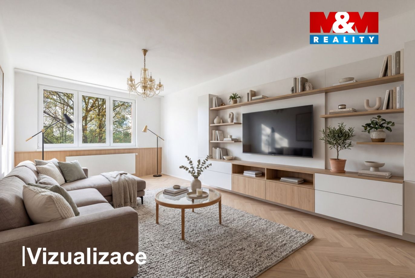 Vizualizace-3.jpg