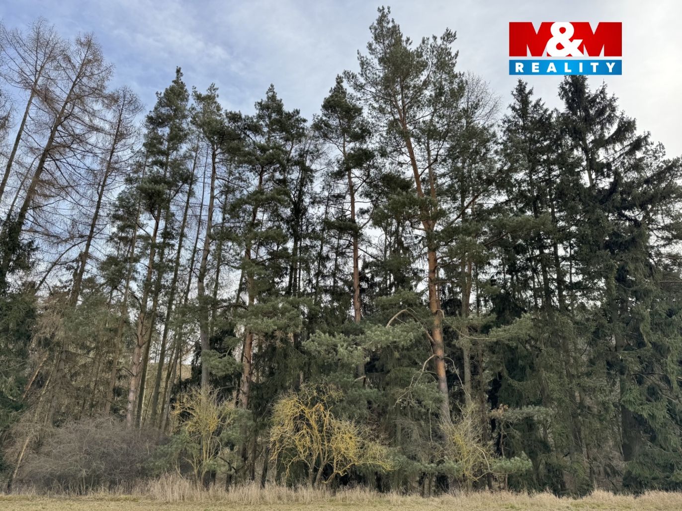 Prodej chalupy, 70 m², Trhový Štěpánov, obec Dálkovice