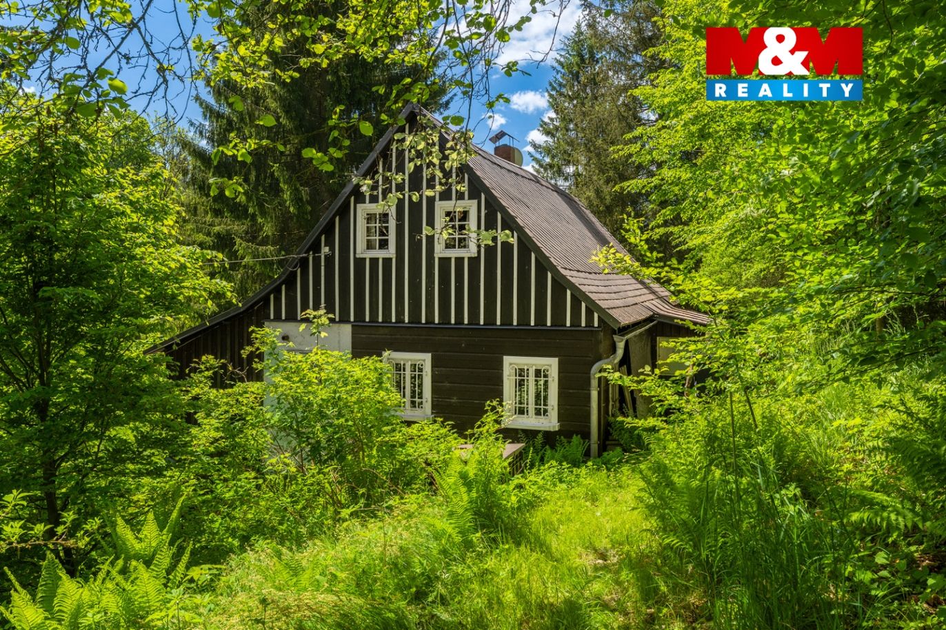 pohled na dům