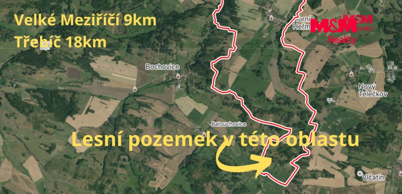 Lesní pozemek.jpg