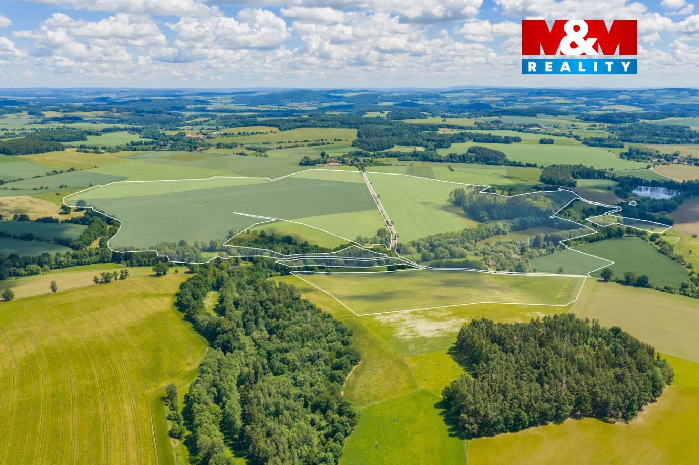 DJI_20260606115119_0138_Db.jpg