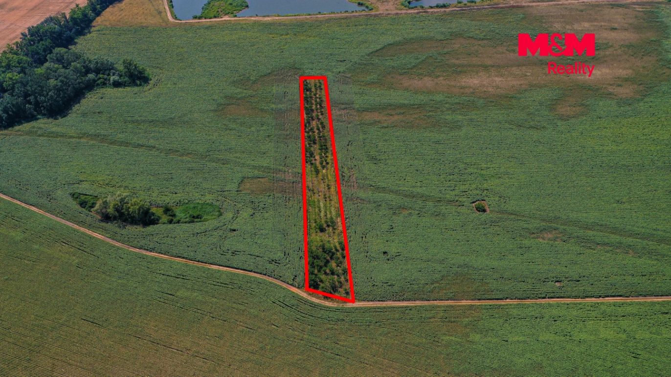 DJI_0955 kopie.jpg