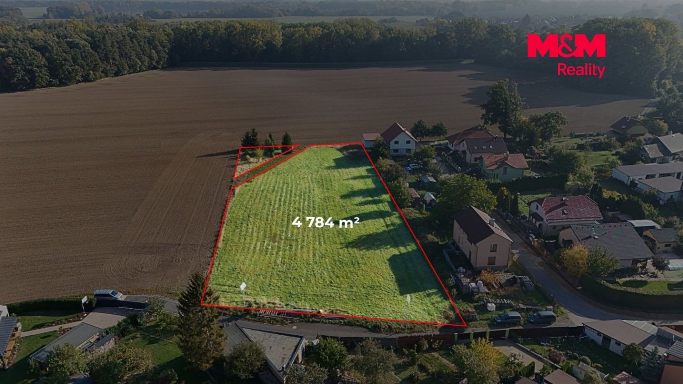 4 784 m² (1).jpg